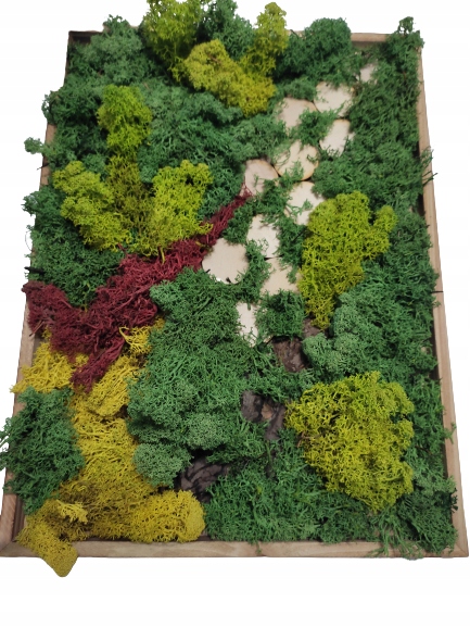 obraz z mchu chrobotek żywy obraz w2