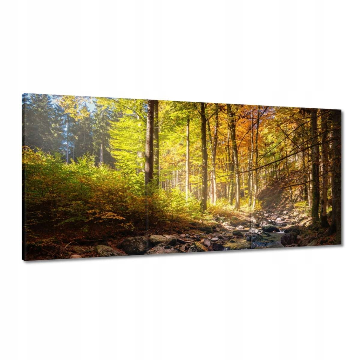 Obrazy 180x90 Krajina
