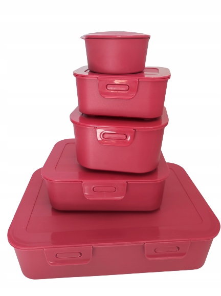 

Ernesto zestaw 5 pojemników Lunch box