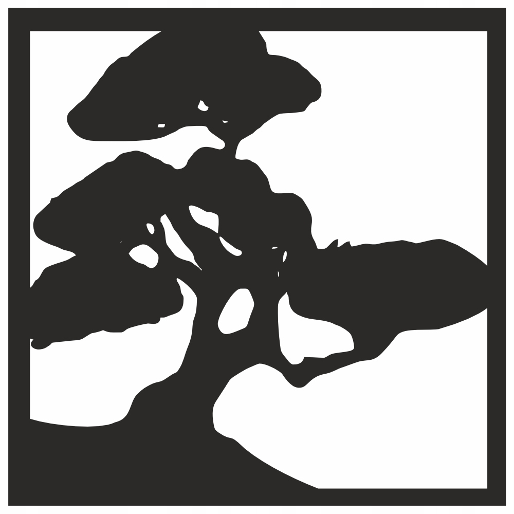 

kwadrat drzewo 50 cm bonsai