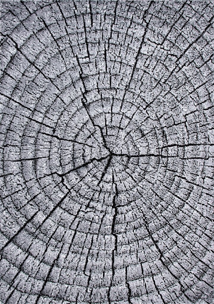 Koberec do obývacího pokoje do ložnice Módní kmen stromu šedý Měkký 120 x 170 barvaeo