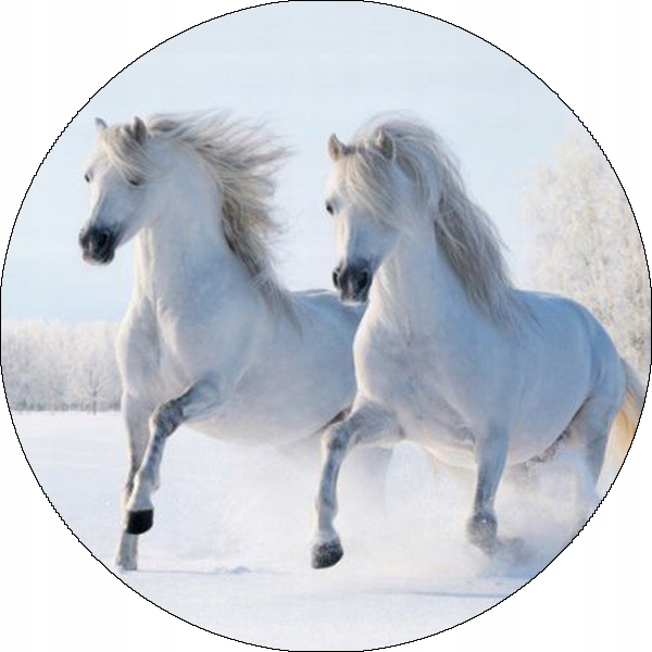 Oplatek na dort Dekorace Jídelní 14 cm Zvířata Kůň Narozeniny