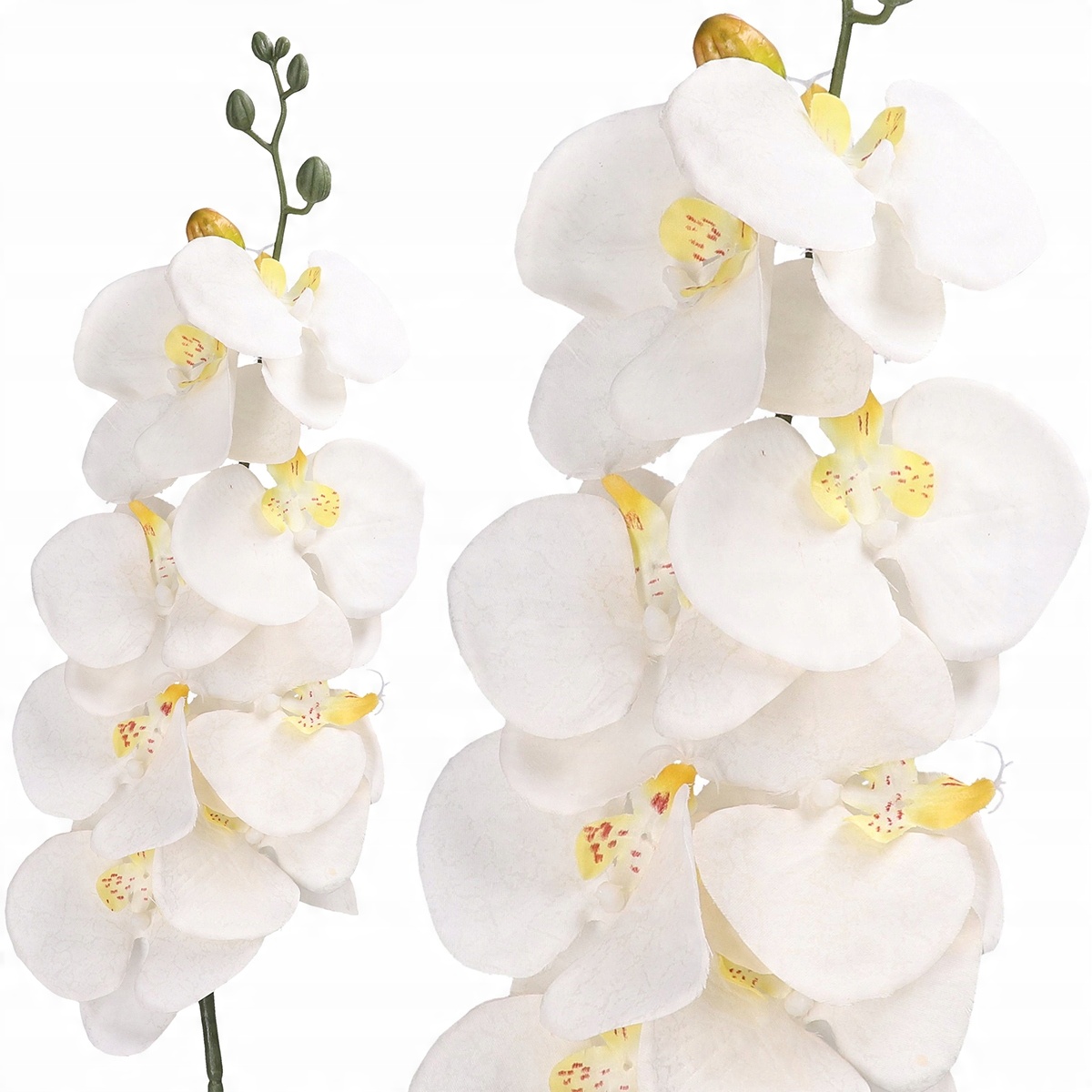 

Storczyk Orchidea Gałązka Jakość Jak Żywy 90cm