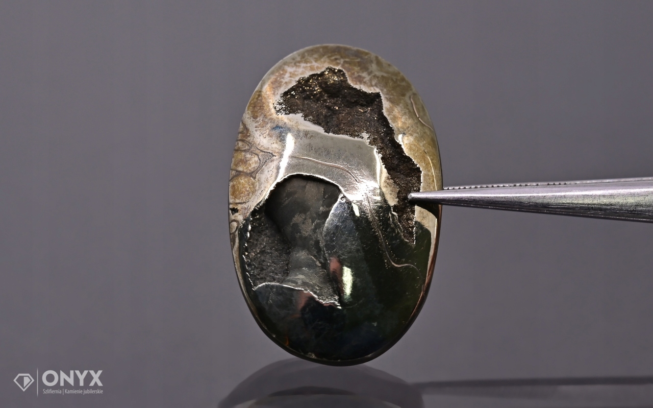 Amonit spiritizovaný ovál 30x19 mm