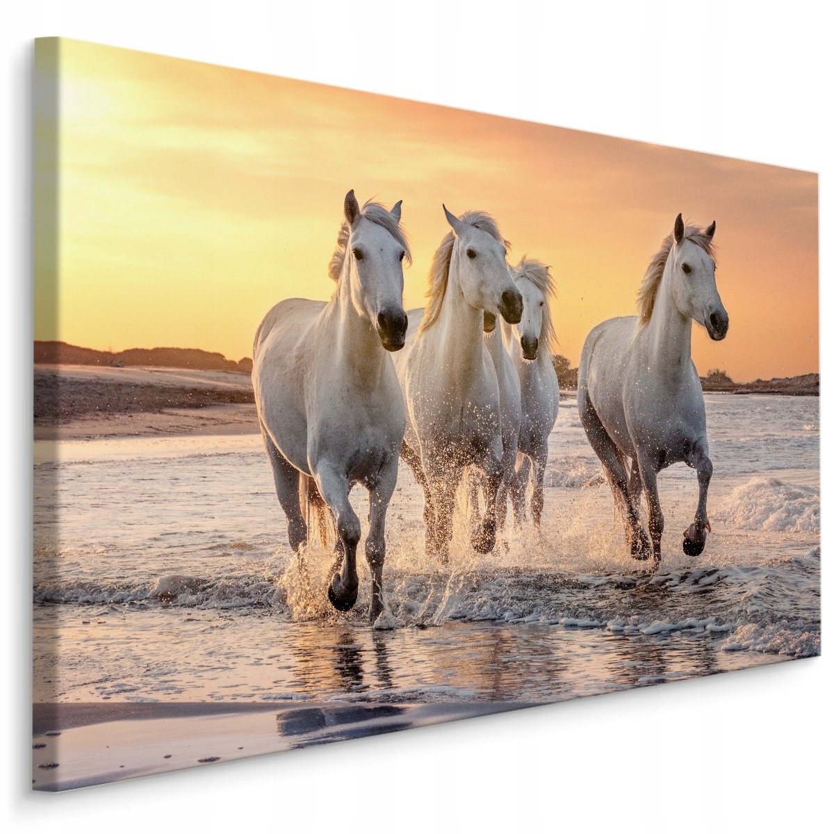 

Obraz canvas konie morze zachód słońca 3D 70x50