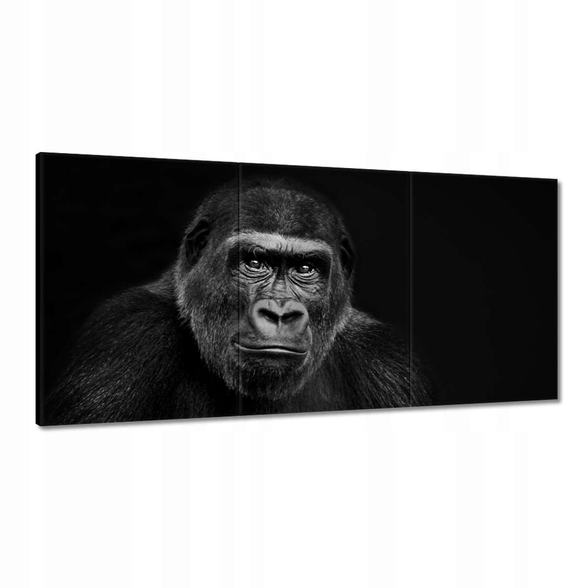 Obrazy 180x90 Čierna nížinná gorila