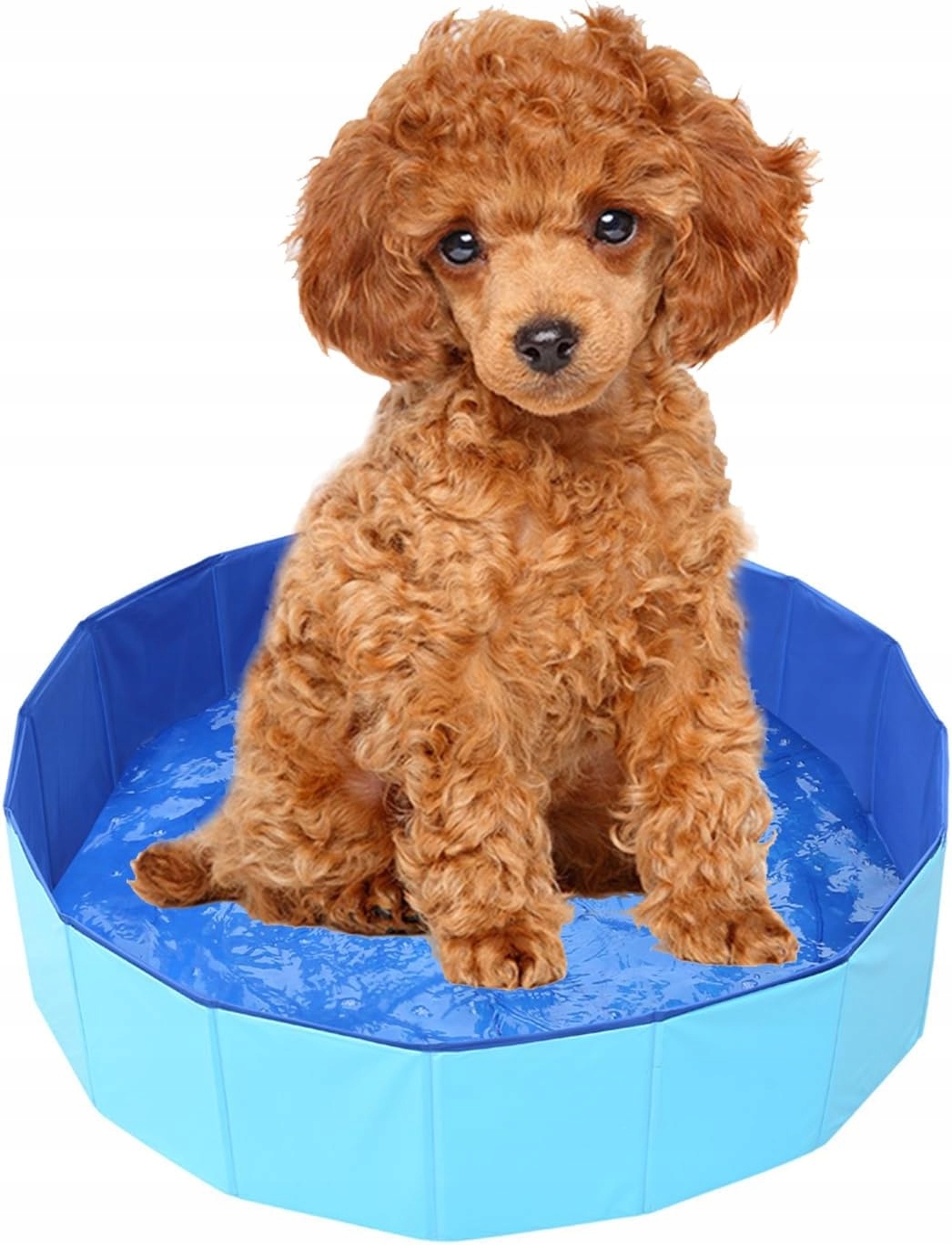 Levně Bazén Pro Psa Skládací Přenosný 50x10 Brouzdaliště Pro Ochlazení Malý