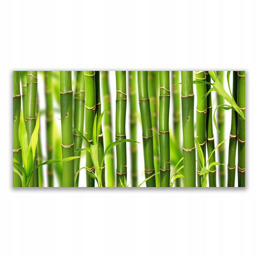 

Obraz akrylowy 120x60 Bambusowe Pędy Liście Bambus