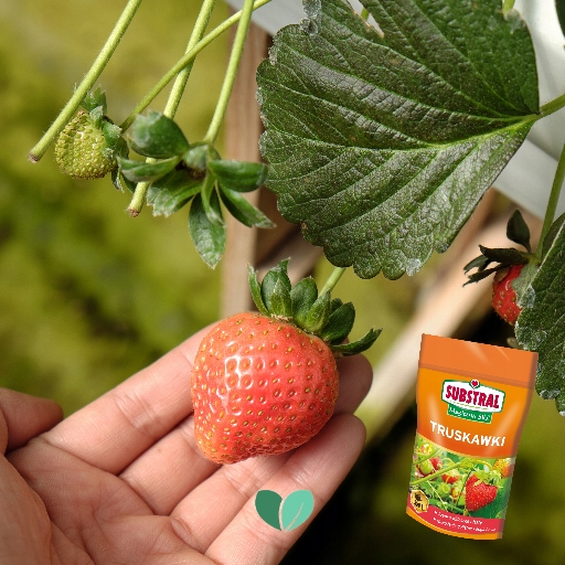 MAGICZNA SIŁA NAWÓZ DO TRUSKAWEK 350g SUBSTRAL Rodzaj nawozu wieloskładnikowy