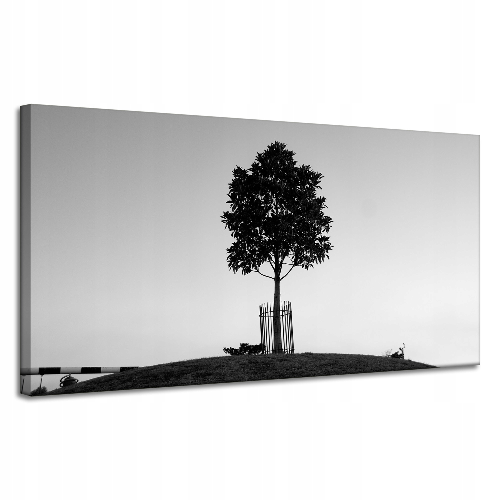 Obraz na plátně Příroda Strom Černobílý 120x60