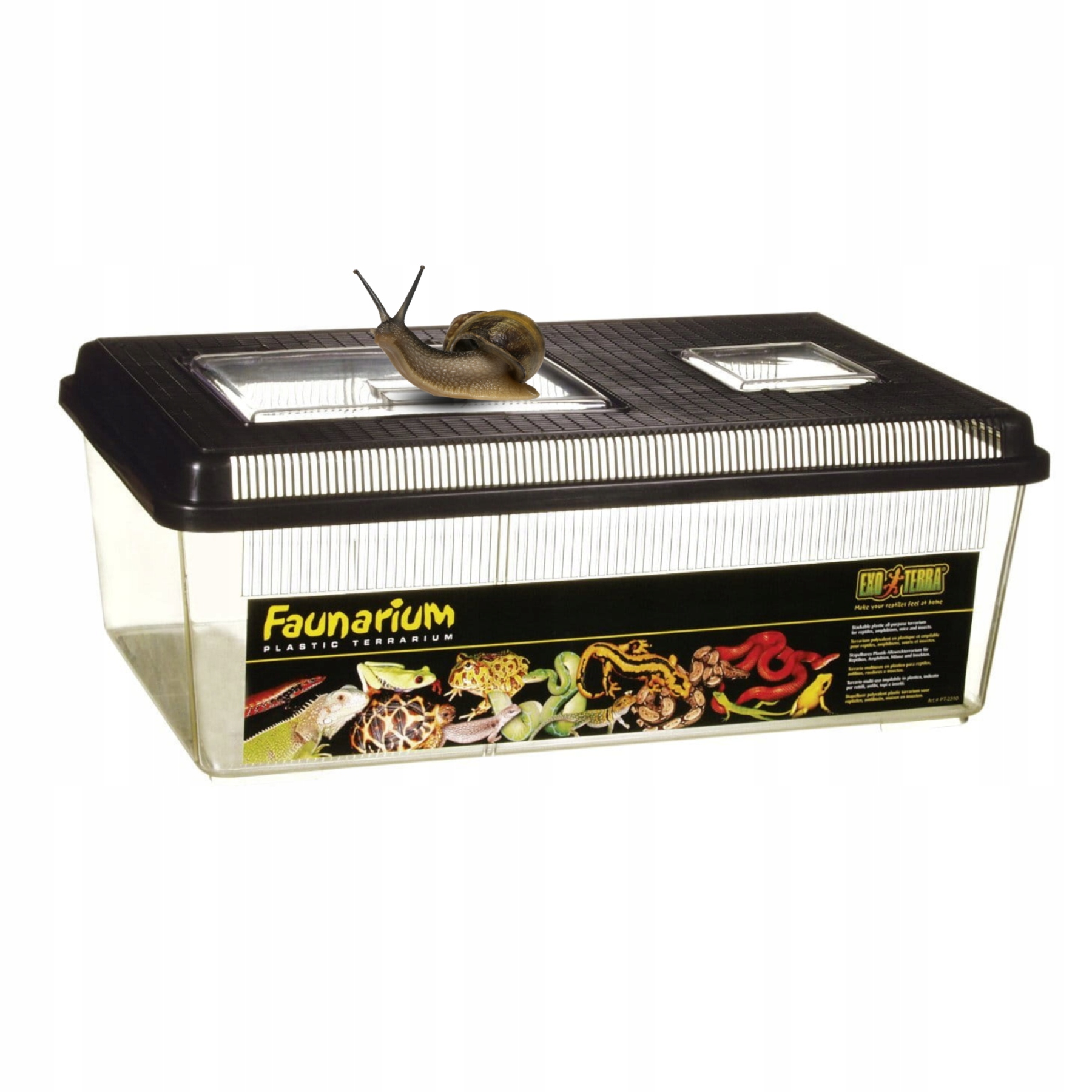 Levně Exo terra Faunarium velké Large ploché 46,5 x 30,5 x 18 cm EX-3102