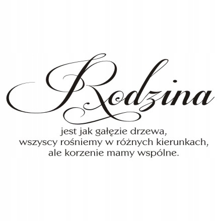 

Napis na ścianę, naklejka Rodzina jest jak... 211