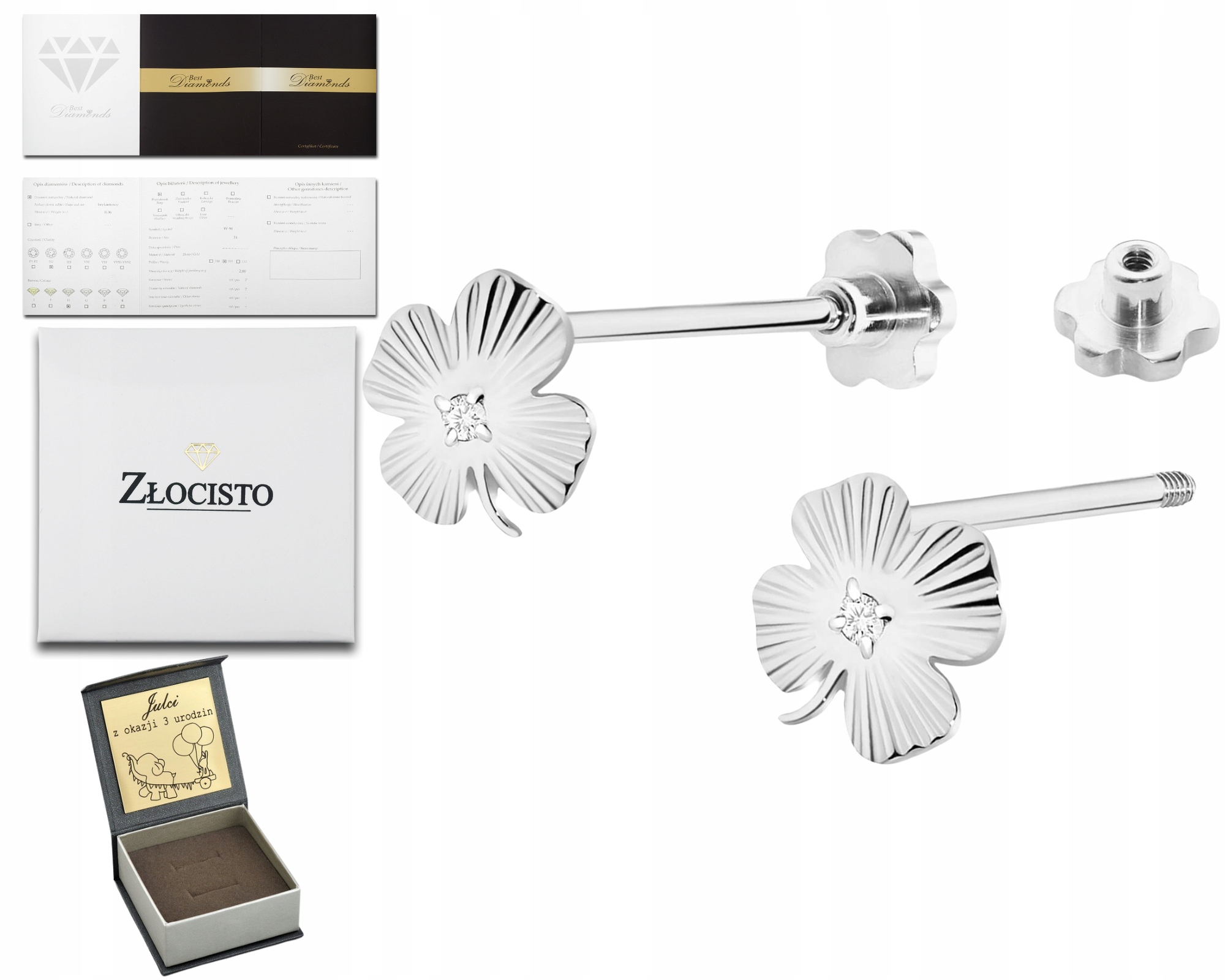 Bílé Zlato Náušnice S Briliantem A Šroubovacím Šroubem Zlato 585