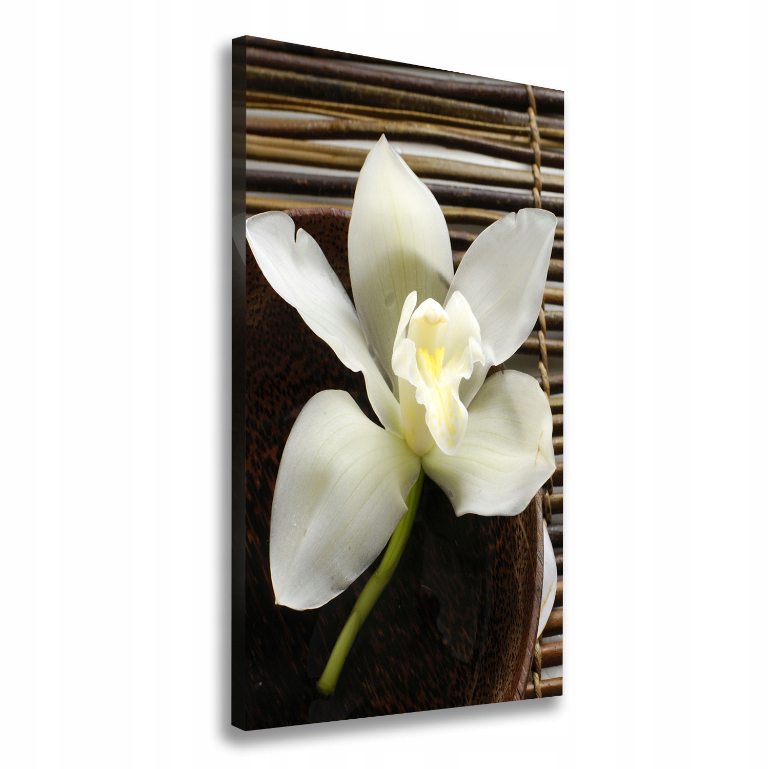 Fotoobraz obraz na plátně do obývacího pokoje Orchidej 60 x 120 cm