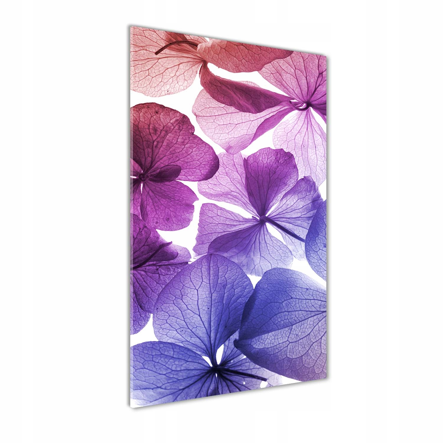 

Foto obraz szkło akrylowe Fioletowe kwiaty 70x140