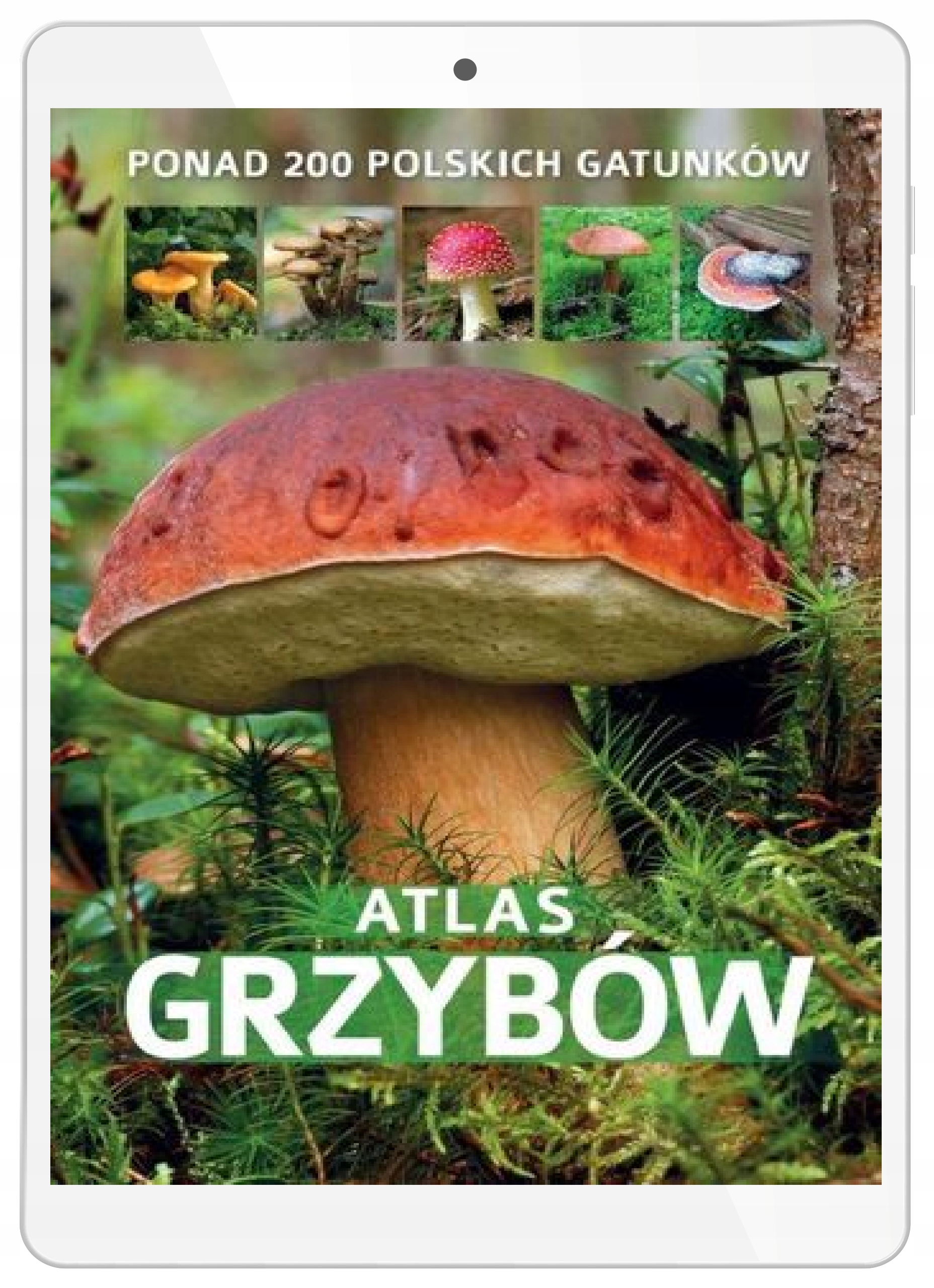 Атлас грибов. Более 200 польских