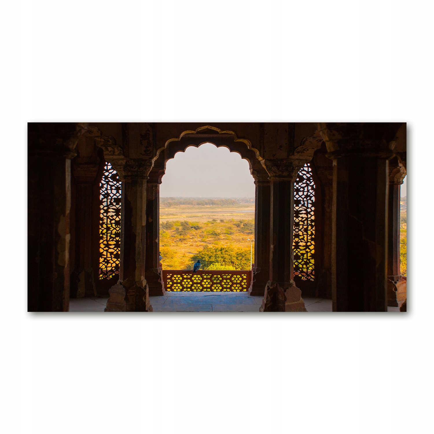 

Foto obraz akryl zdjęcie Fort Agra Indie 120X60 cm