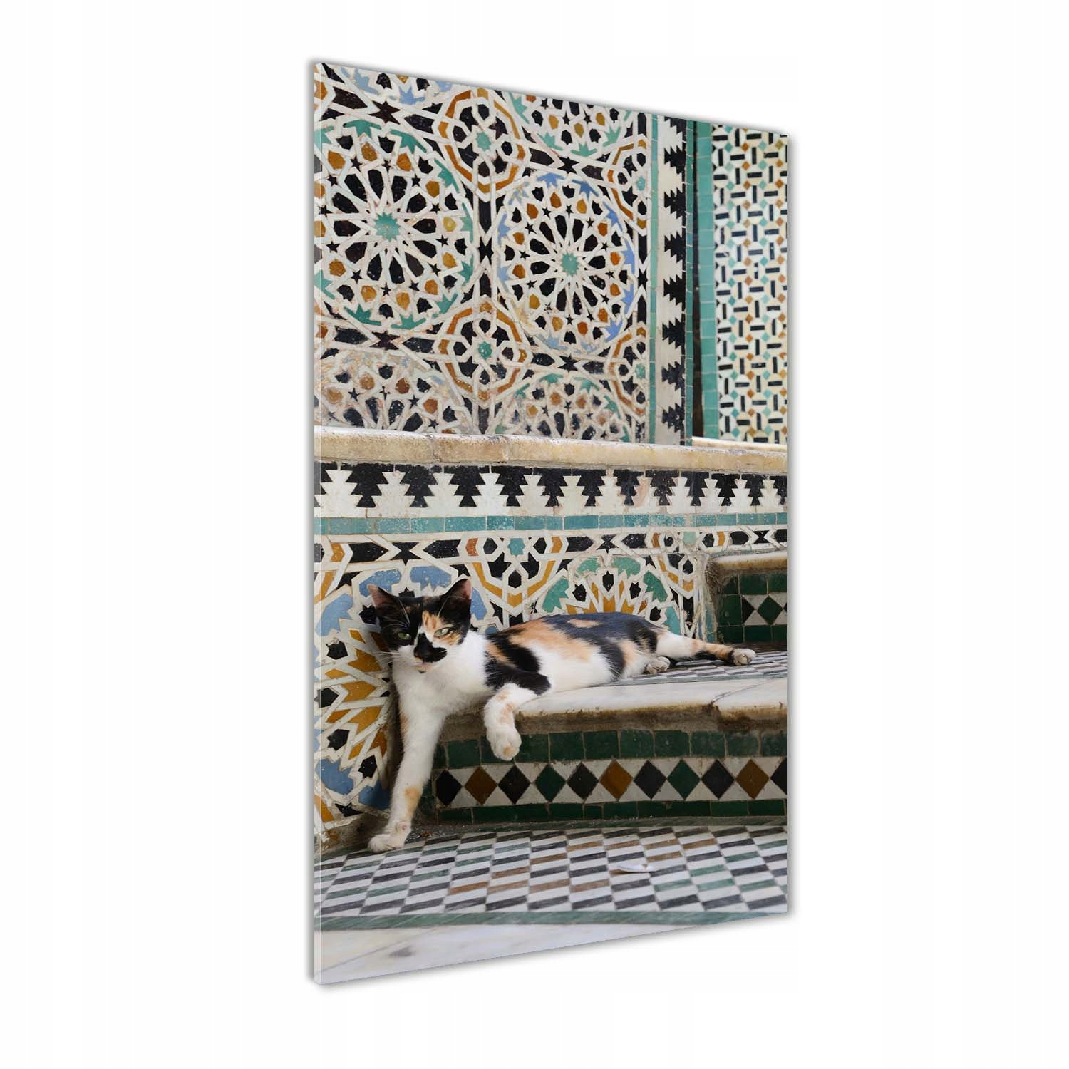 

Nowoczesny fotoobraz akrylowy Kot w Maroko 70x140