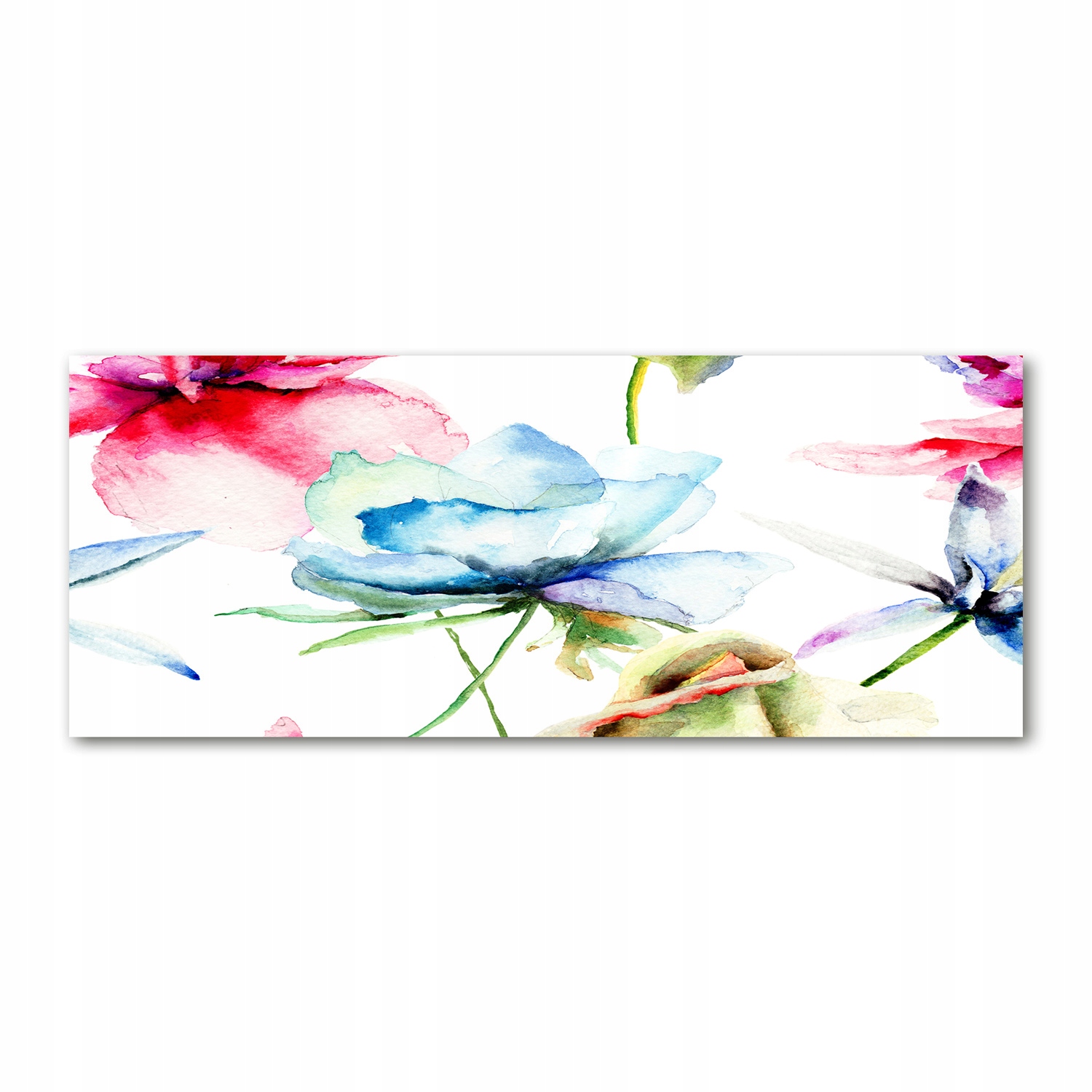 

Foto-obraz akrylowy na ścianę dużyMaki 125x50 cm