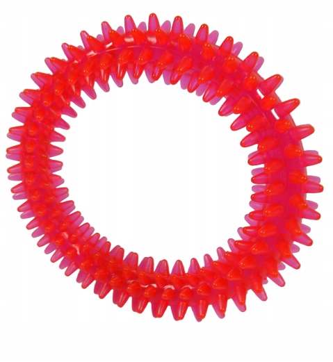 

Gryzak Dla Psa Zabawka Ringo Kółko z kolcami 10 cm