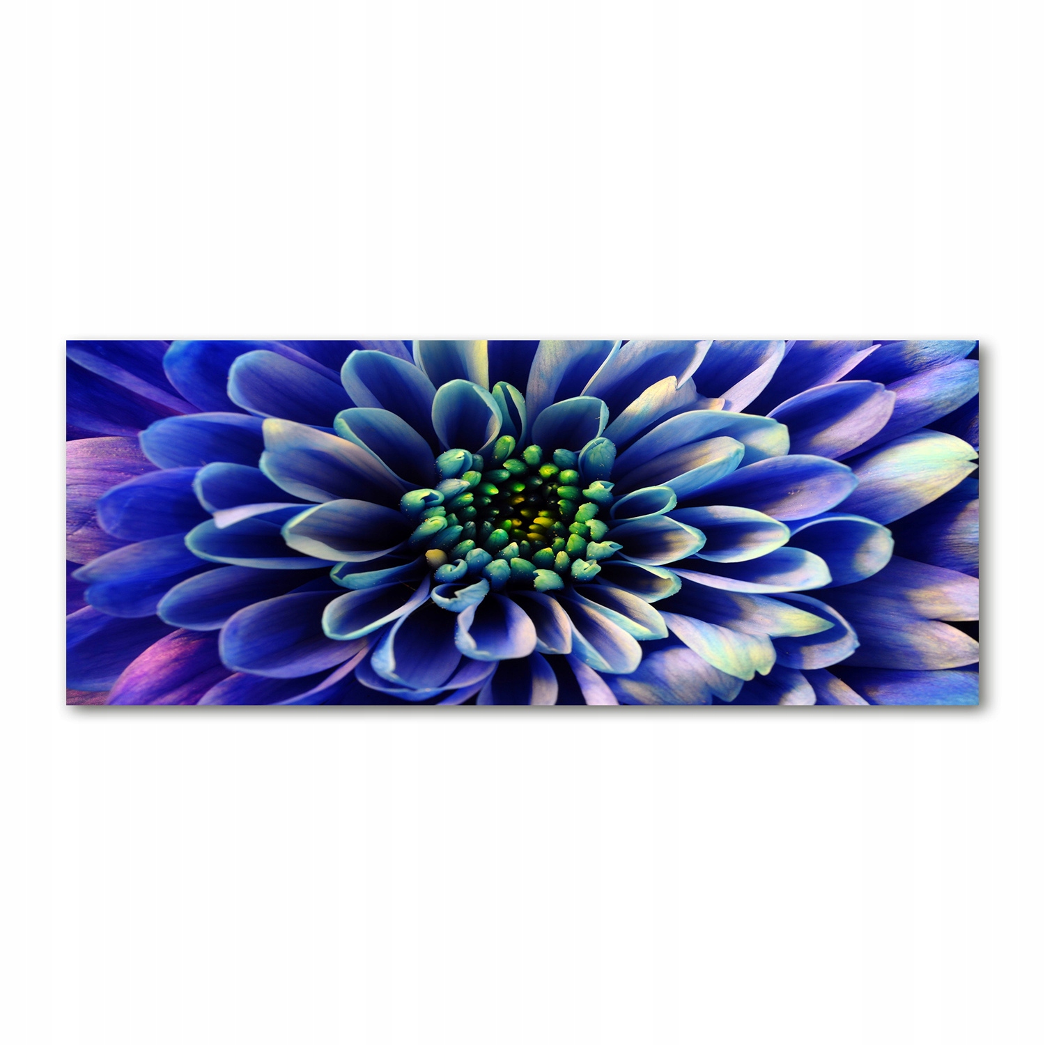 

Foto obraz akryl nowoczesny na ścianę Aster 125x50
