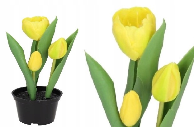 

Tulipany Bukiet Tulipanów Kwiaty Gumowe Jak Żywe