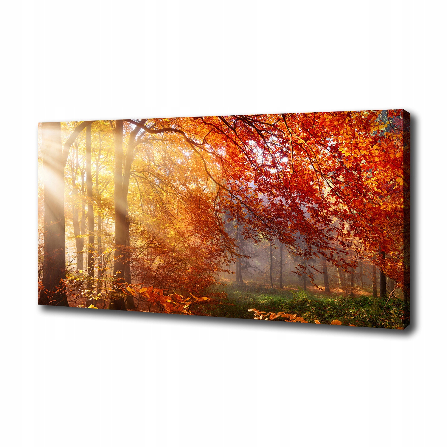 

Duży foto obraz na płótnie Jesienny las 100x50 cm