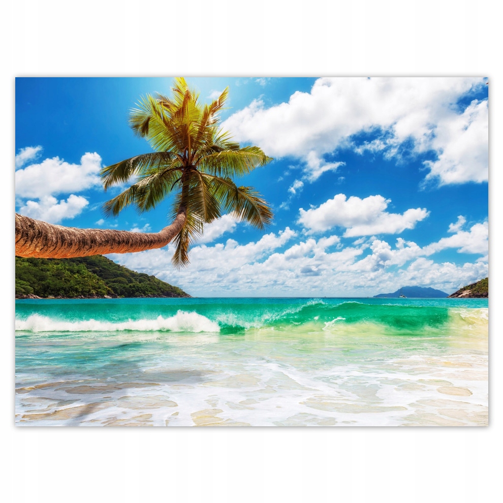 

Naklejki 135x100 Tropiki Palmy Plaża
