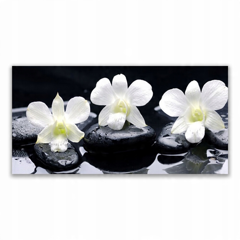 

Obraz nowoczesny 140x70 Orchidea Kamienie Roślina