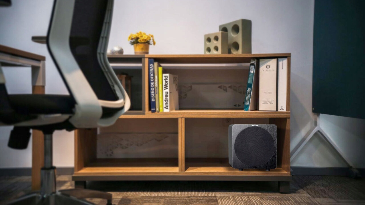 VELODYNE DB-10 DO AMBITNYCH SYSTEMÓW AUDIO, DYNAMICZNY, NATURALNY, KLASA AB Szerokość produktu 29.6 cm