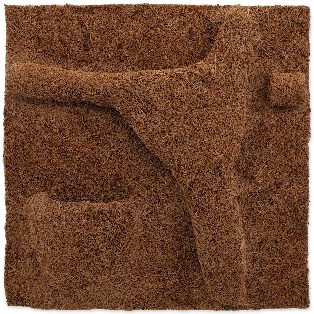 

Repti Planet tło kokosowe do sadzenia 50x50cm