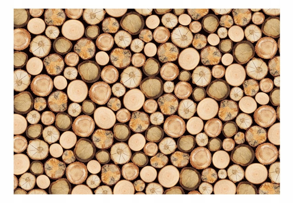 

Fototapeta - W tartaku - 200X140