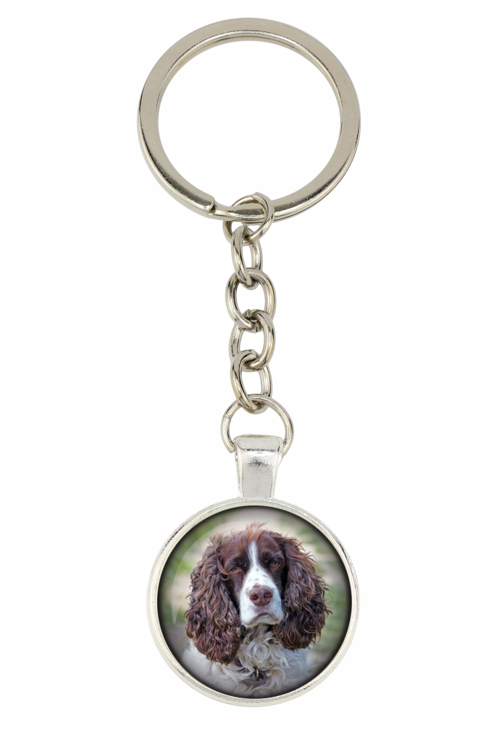 

Springer spaniel angielski Brelok Twoje zdjęcie