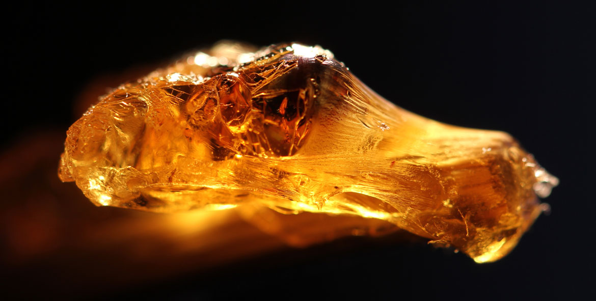 Fire Homme MEN EDP 100 ml PERFUMY JFenzi Marka JFenzi