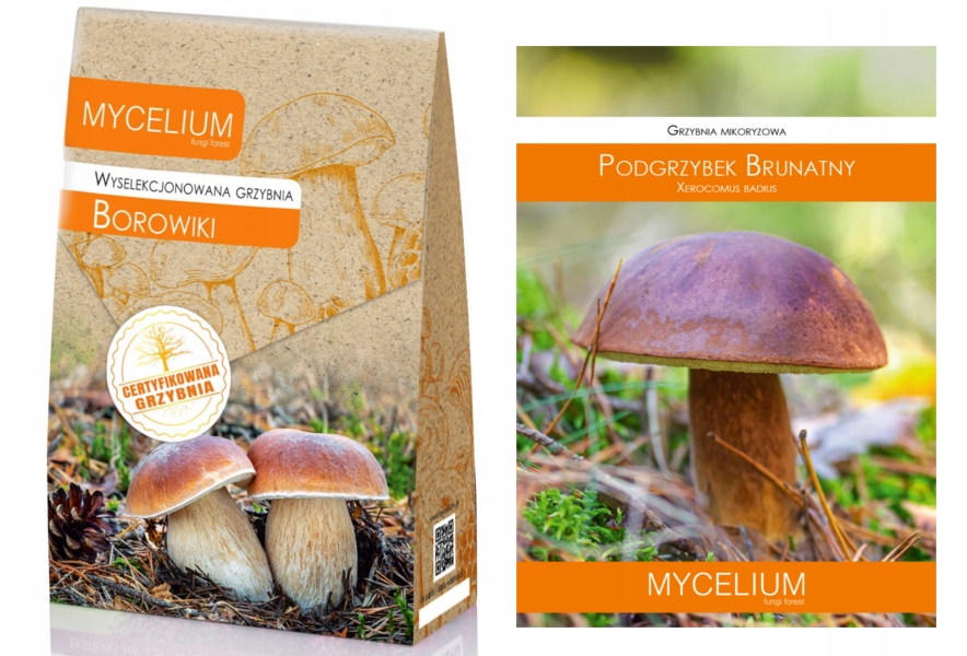 Levně Sada Borowiki Podhoubek certifikovaná podhoubí lesní houby