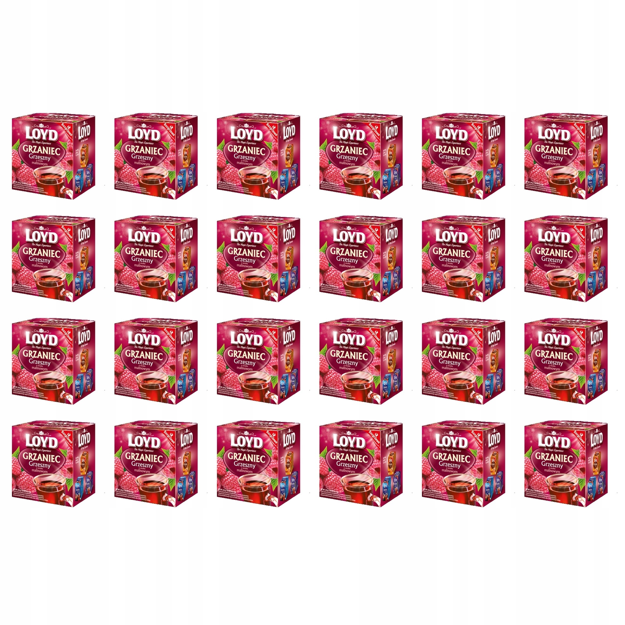 24 x 30 g Loyd čajový ohřívač s malinovou příchutí (10 tb)