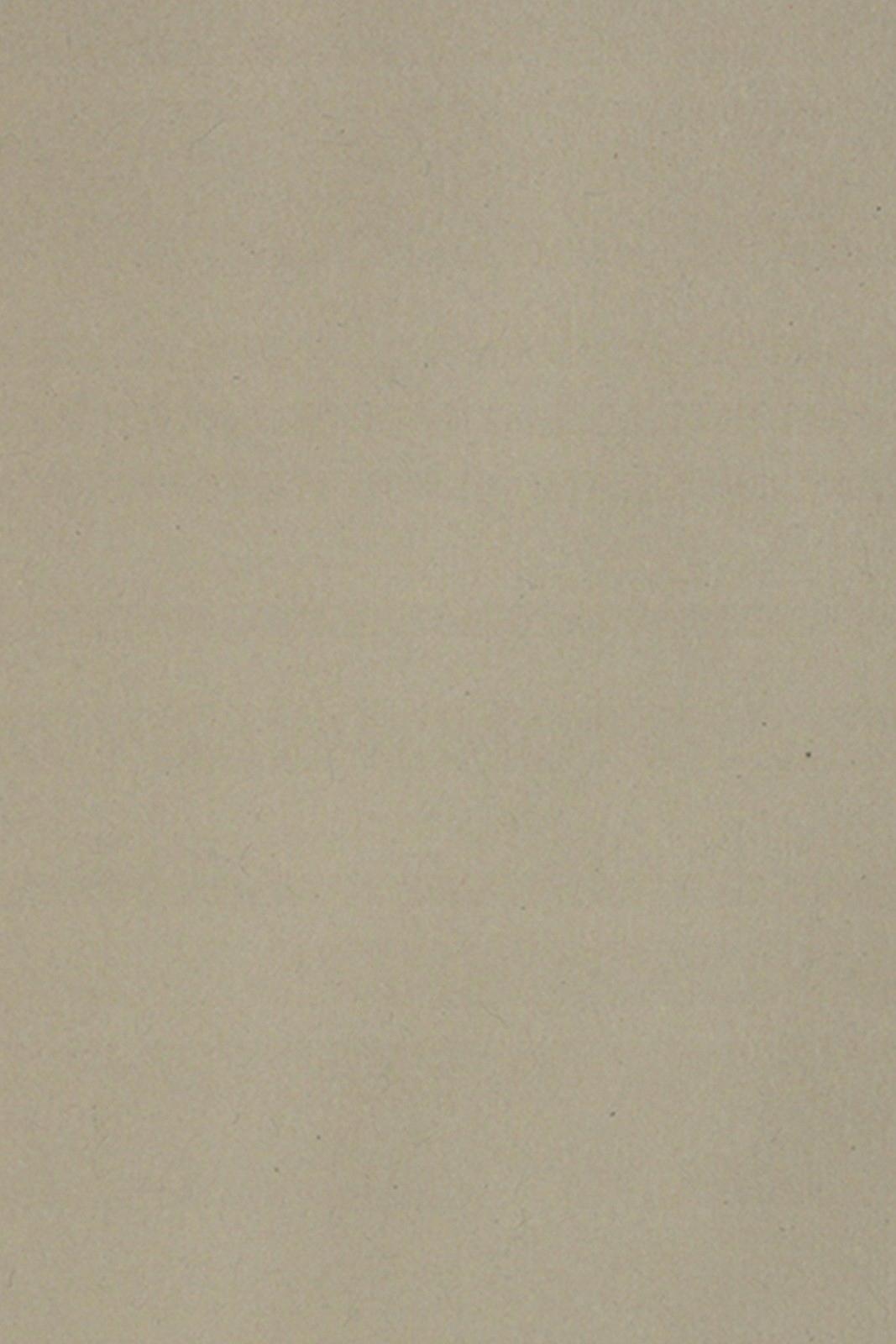 

Papier brystol kolorowy 250g szary A3 10ark.