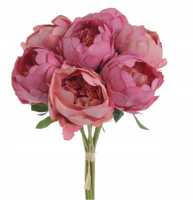 

Bukiet Peonii Piwonie Kolor Różowy 7 Kwiatów