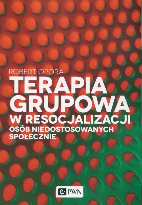 Terapia grupowa w resocjalizacji osób niedostowanych społecznie Robert-Zdjęcie-0
