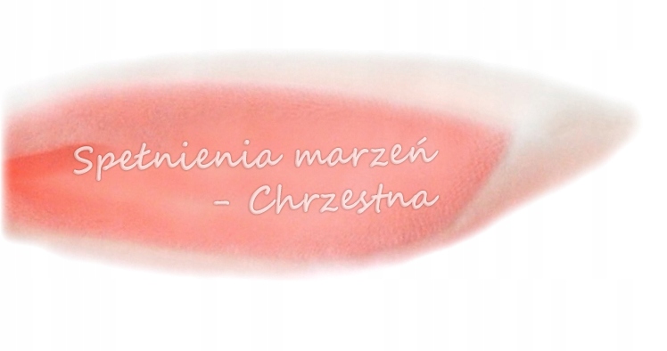 

Dedykacja Personalizacja Metryczka dla Dziecka