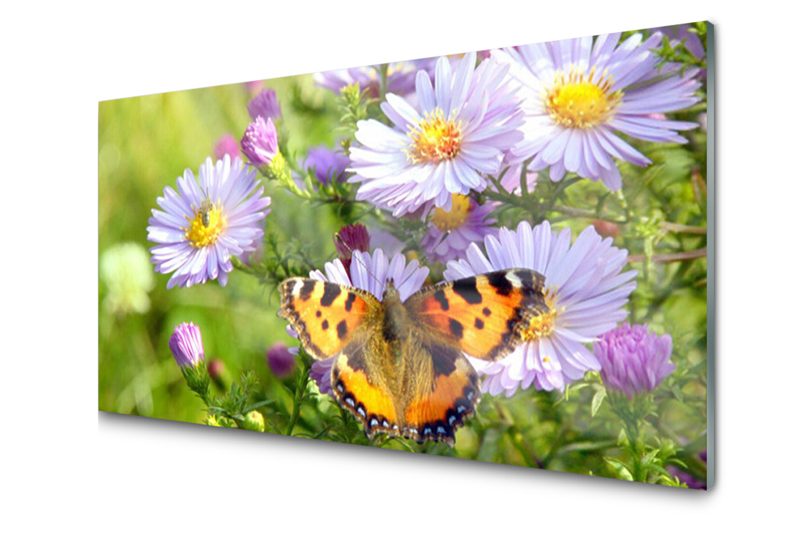 Dekorativní skleněný panel Květiny Motýl 100x50