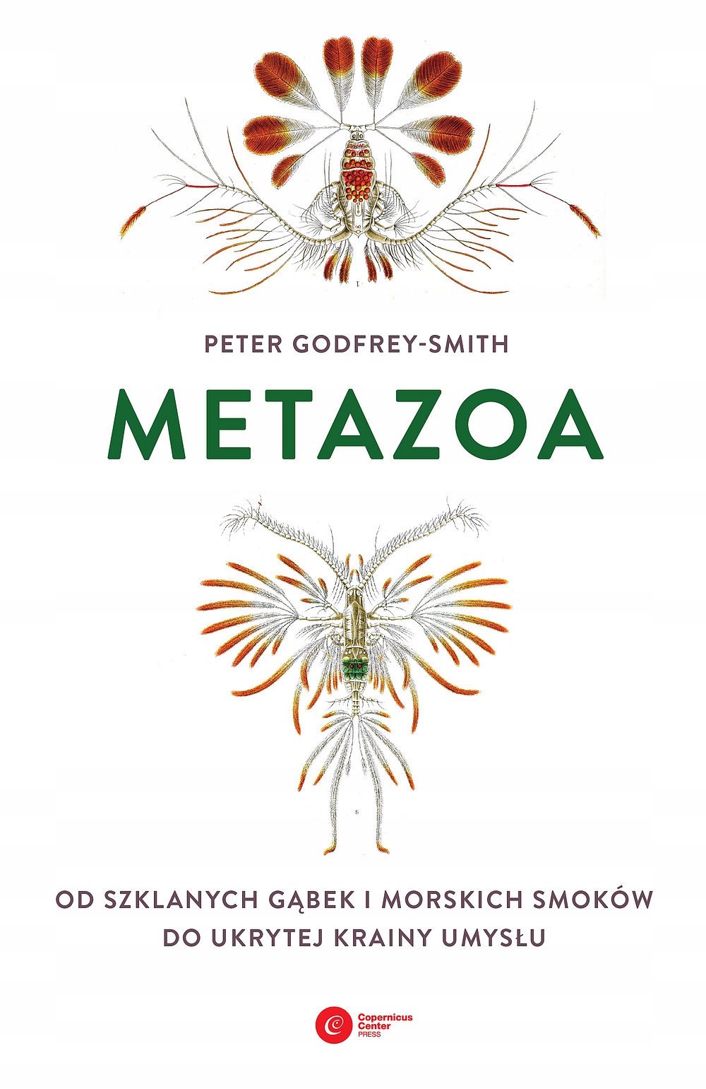 

Metazoa. Od szklanych gąbek i morskich smoków