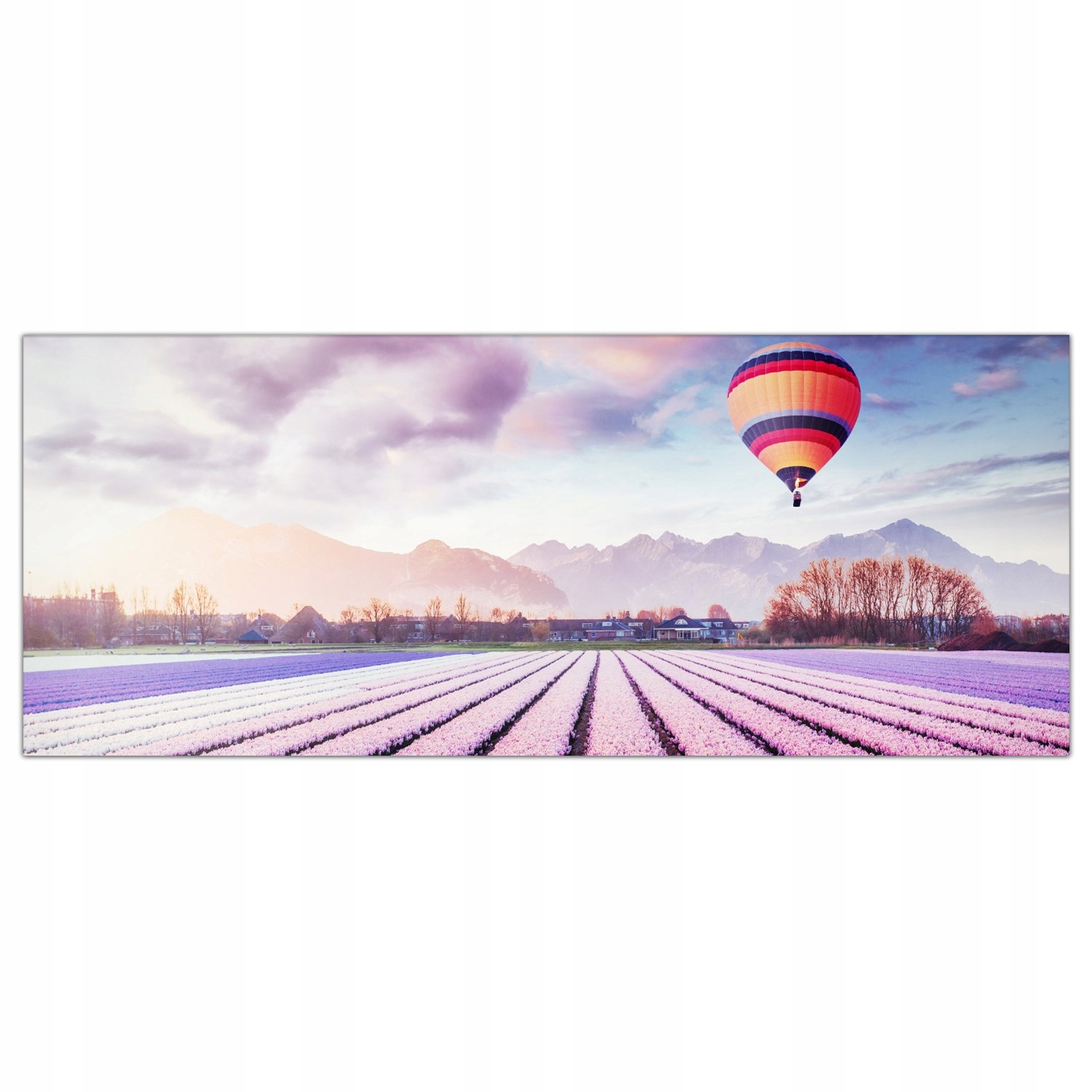 

Obraz Szklany Foto-obraz Pole Łąka Kwiaty 125x50