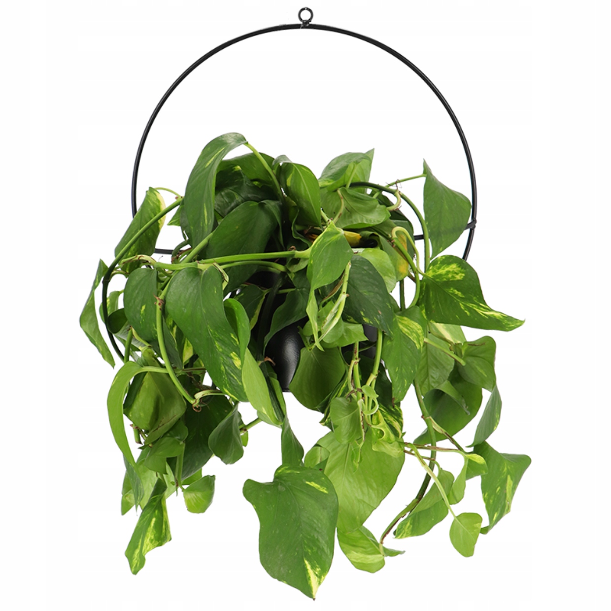 KWIETNIK WISZĄCY OSŁONKA DONICZKA METALOWA Marka GlamurProjekt