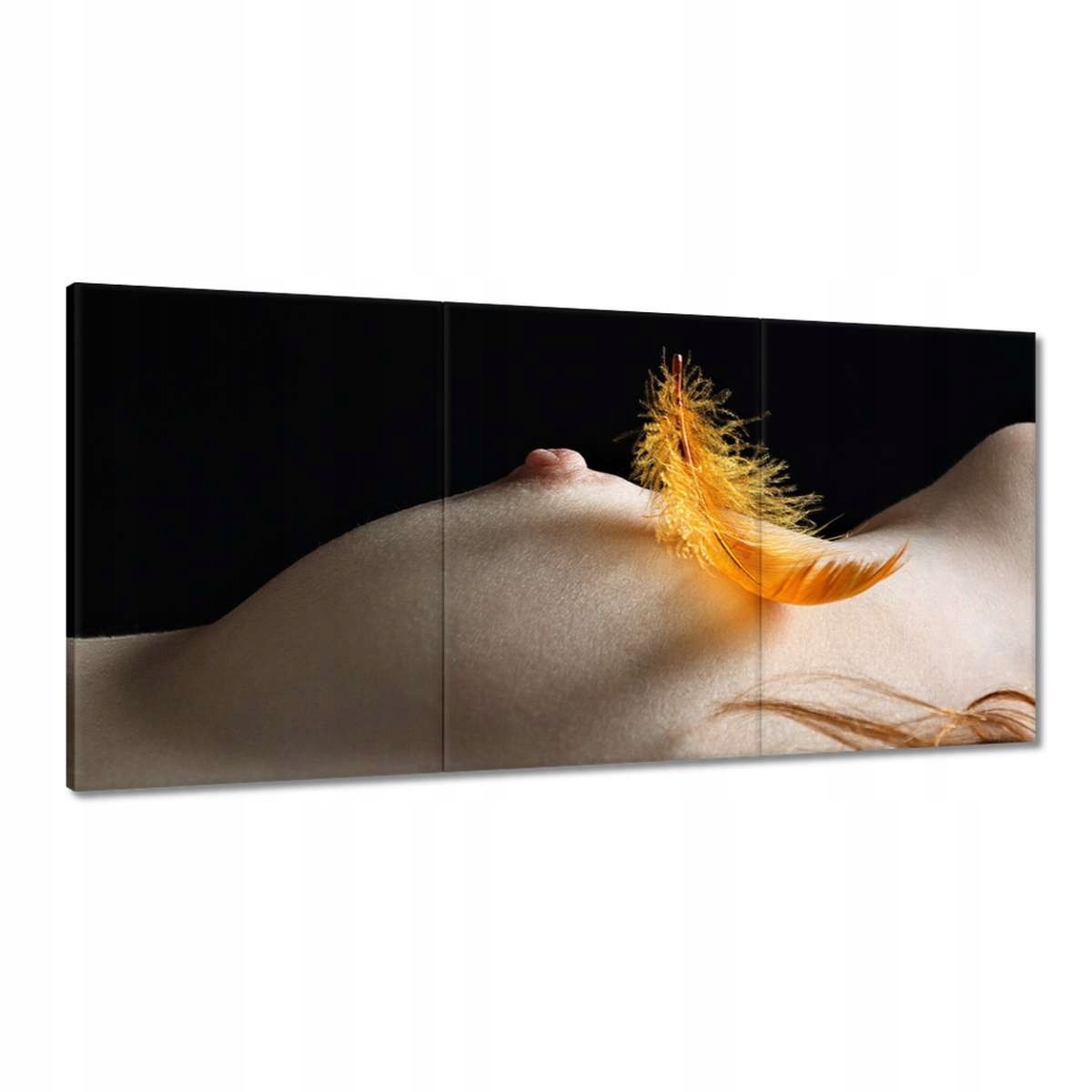 Obrazy 180x90 Holenie Akt Nahota Sex