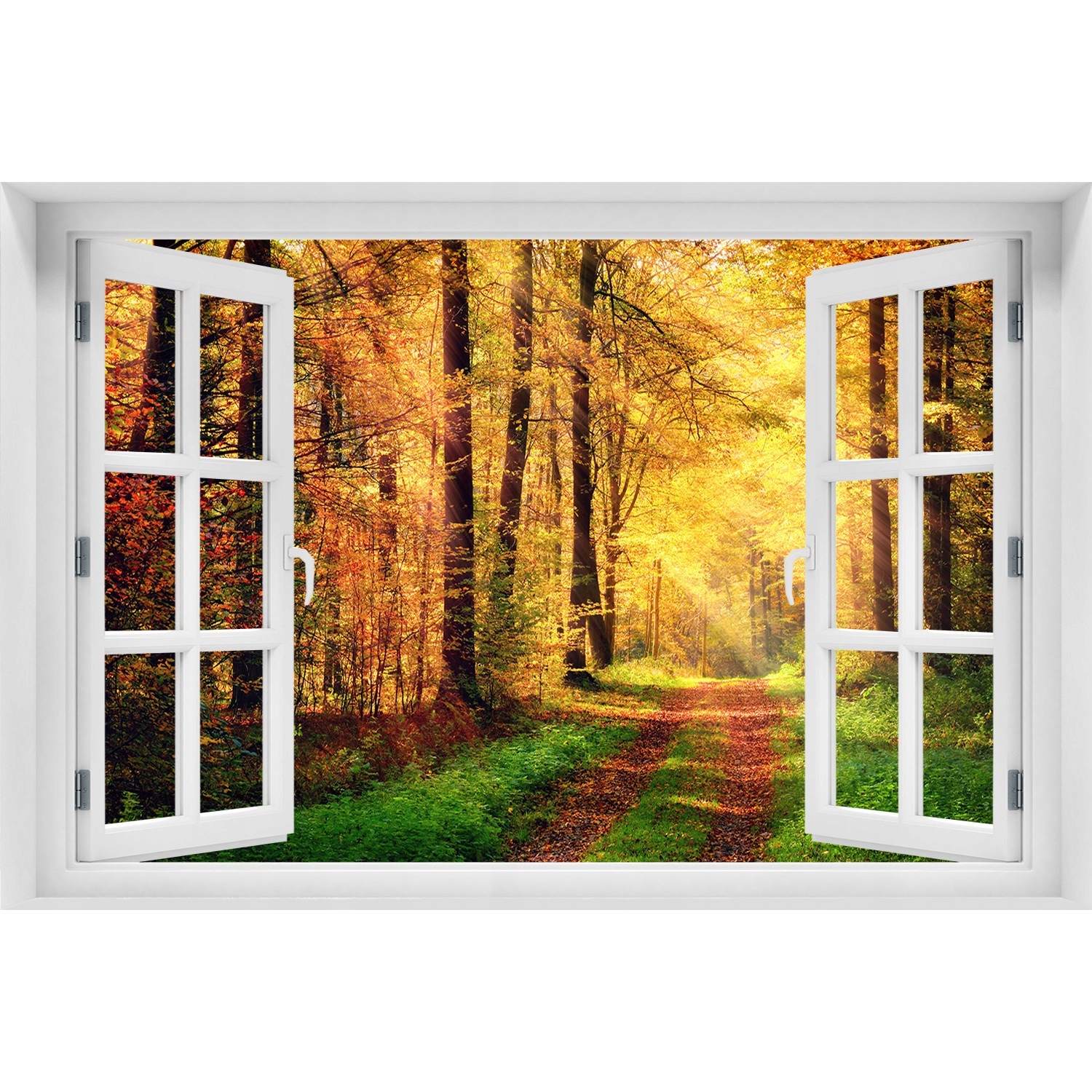 

Naklejka fototapeta Okno Las jesienią 150x100