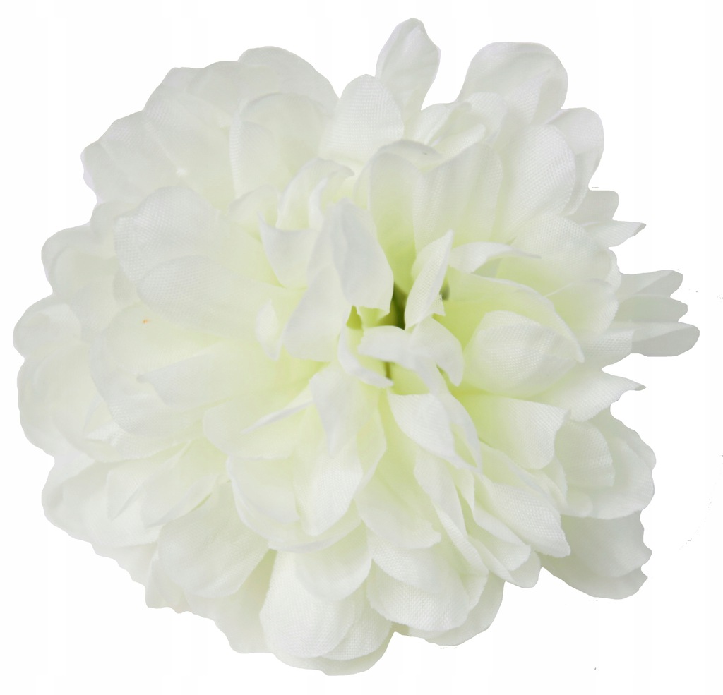 

Chryzantema główka sztuczne kwiaty Cena 12sztuk 67