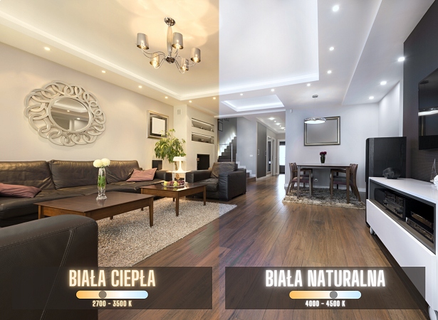 10 sztuk LED REFLEKTOR GU10 5W 2700K BLAUPUNKT Rodzaj LED