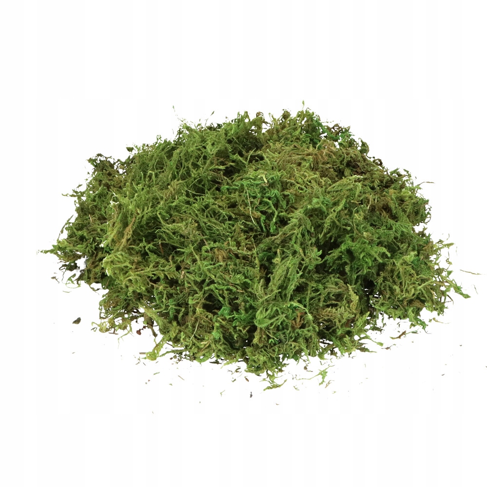 

Mech dekoracyjny w opakowaniu foliowym 100g