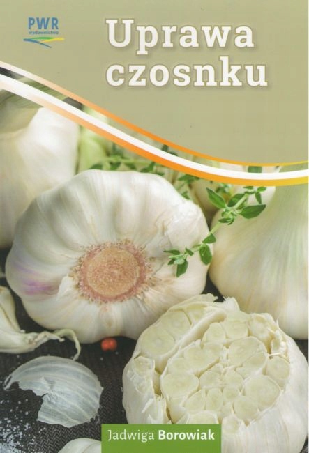Uprawa czosnku Jadwiga Borowiak